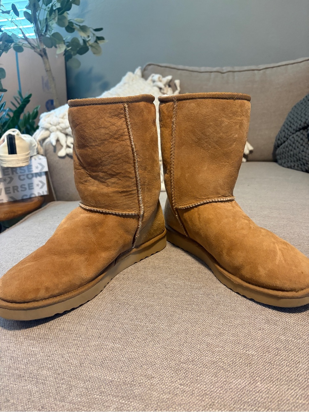 Men's UGG Classic Sport 5800 Chestnut Suede Winter Boots